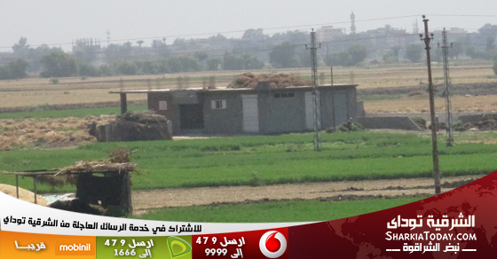 التعدي على الاراضى الزراعية حل لمشكلة قديمة و بداية لمشكلات جديدة .. ,ووكيل وزارة الزراعة فى الشرقية : المواطنون يستغلون الاضطراب الامنى و أوقات الأزمات للبناء على الاراضى الزراعية 1 اراضي