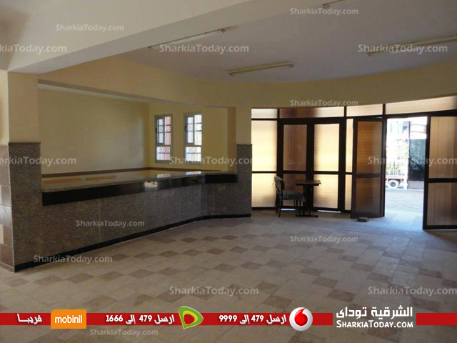 بالصور : مدرسة بالصالحية الجديدة تنافس على المركز الأول بمسابقة الجودة على مستوى الجمهورية 4 مدرسة الصالحية 4