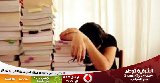 محمد سلامة | يكتب : الذاكرة وسر الصنعة 19 مذاكرة