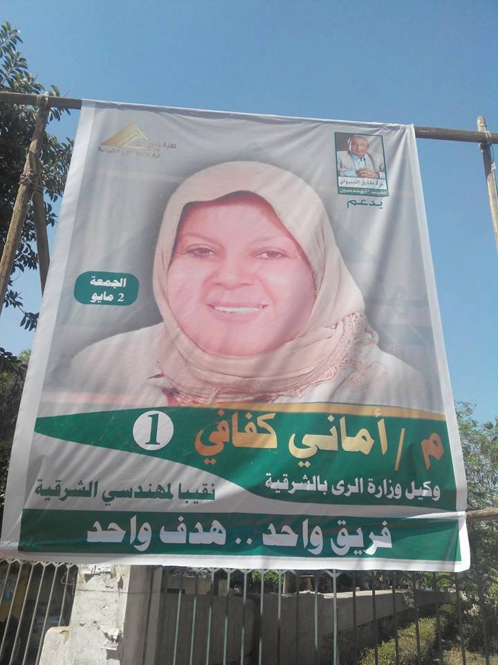 فوز " أماني كفافى" بمقعد نقيب المهندسين بالشرقية 1 10173523_751067394924331_4836366629094263931_n