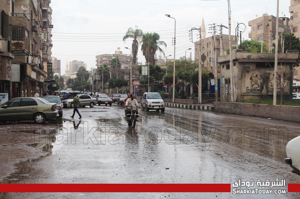 الشتاء يزور مصر مجددًا حتى السبت 1 1452105_10151712725546752_660225713_n