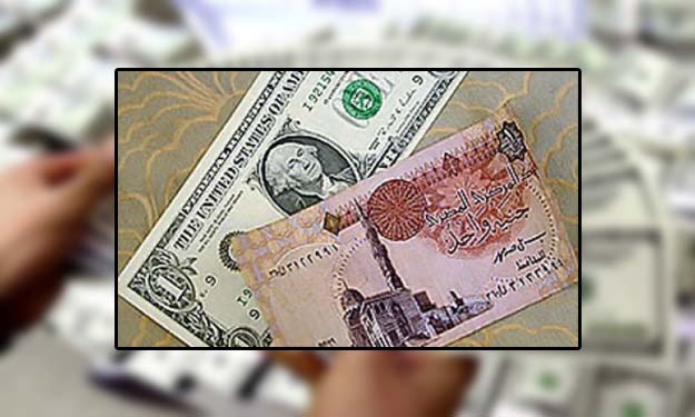 الدولار والجنيه1