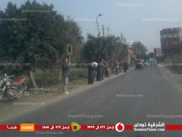 سلاسل بشرية لأنصار الإخوان بقرية نبتيت بمشتول السوق 1 انصار-الاخوان