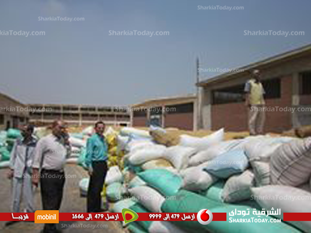 وكيل وزارة الزراعة بالشرقية يقوم بجولة ميدانية لشون القمح 1 عسران