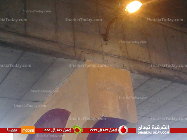 بالصور ...إنارة أعمدة الإضاءة أسفل الكوبرى الجديد بزراعة الزقازيق 3 1