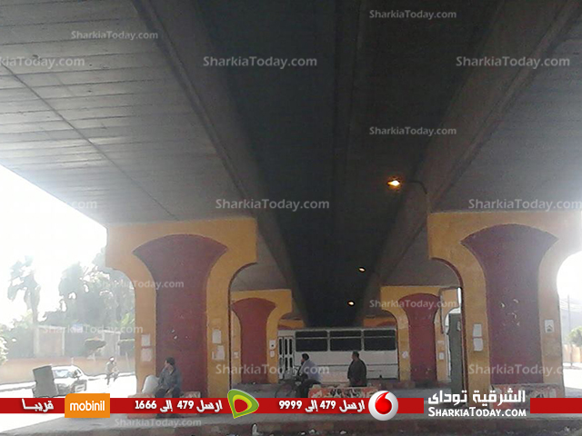 بالصور ...إنارة أعمدة الإضاءة أسفل الكوبرى الجديد بزراعة الزقازيق 4 2