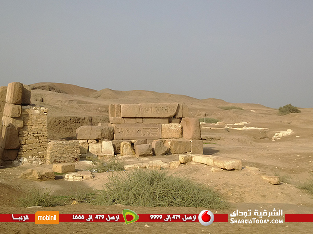 بالفيديو والصور ...ثلث آثار مصر بتل بسطه وصان الحجر بلا زوار ولا اهتمام للمسئولين 6 ثلث آثار مصر بتل بسطه وصان الحجر بلا زوار ولا اهتمام للمسئولين (1)