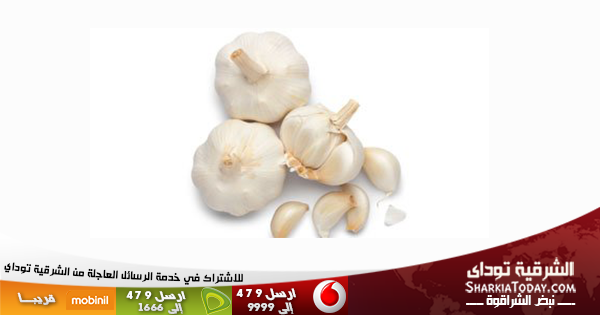 خبراء التغذية ينصحون بتناول فصين من الثوم لمقاومة السرطان 1 ثوم