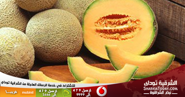 الكنتالوب يغذى الجلد والشعر ويحميك من السرطان والعمى والربو والإمساك 1 Sharkia-600x315-Banner