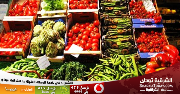 مباحث التموين :لا زيادة في أسعار الخضروات 1 Sharkia-600x315-Banner