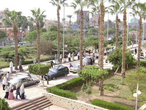مدير مستشفى الزقازيق الجامعى: خروج 6 من مصابى غزة 1 24884_332190711751_6793558_n