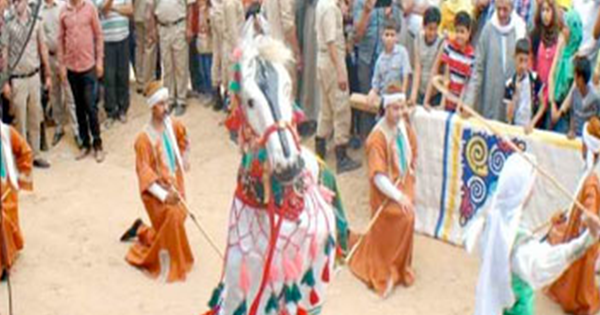 أجمل أربعة خيول في مصر تشارك في مهرجان الخيول العربية بالشرقية 1 محافظة الشرقية تستعد لمهرجان الخيول العربية