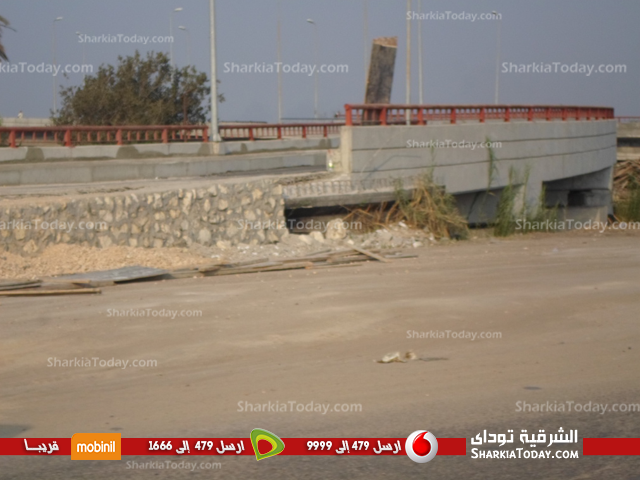 بالصور .. إستمرار العمل بالكوبري الدولى بأبوحماد 2 2