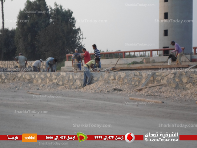 بالصور .. إستمرار العمل بالكوبري الدولى بأبوحماد 1 5