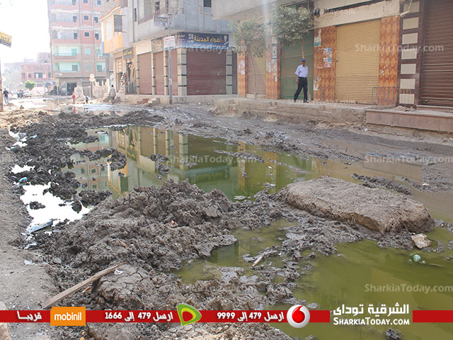 بالفيديو والصور| أهالى الحسينية بالزقازيق تطالب المسئولين بحل مشكلة ركود مياه الصرف الصحى بالشوارع 3 dfgh