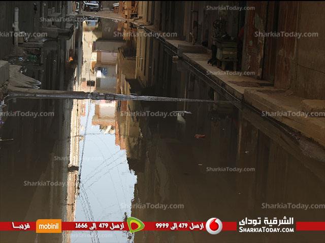 بالفيديو والصور| أهالى الحسينية بالزقازيق تطالب المسئولين بحل مشكلة ركود مياه الصرف الصحى بالشوارع 2 dsfhf