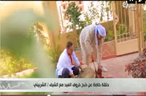 بالفيديو.. الشيف الشربيني يذبح خروفاً على الهواء 1 شربيني