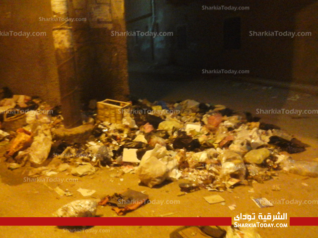 أهالي الزقازيق يحتفلون بالعيد وسط أكوام القمامة ومياه الصرف الصحي واسطبلات الخيل .. ويستغيثون بمحافظ الشرقية 2 1.