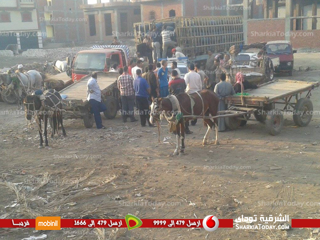 عودة أزمة إسطوانات الغاز من جديد بديرب نجم 1 2,,,,...