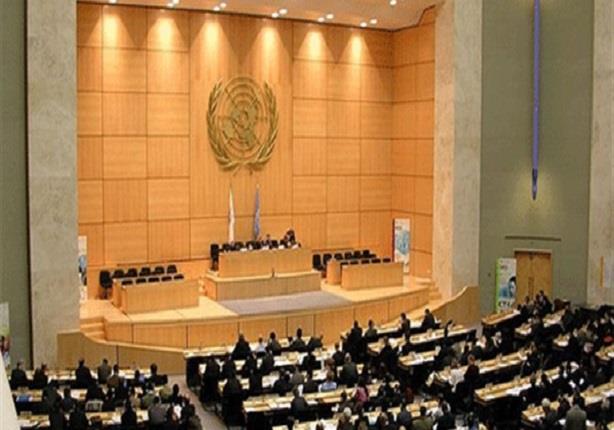 مصر تُوكد إلتزامها بكل المواثيق والقوانين لمكافحة الجريمة الدولية 1 2014_10_7_19_37_1_409