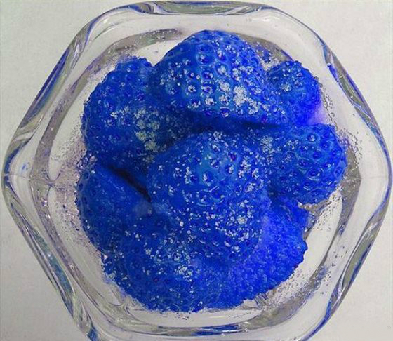 بالصور | الفراولة الزرقاء قريبا بأسواق الفاكهة 7 pic_1414654060139369397138812166368sze1000
