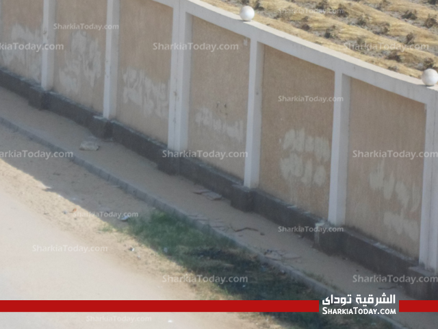 بالصور .. إزالة العبارات المسيئة على جدران مدخل جامعة الازهر بالزقازيق 3 المستطيلة