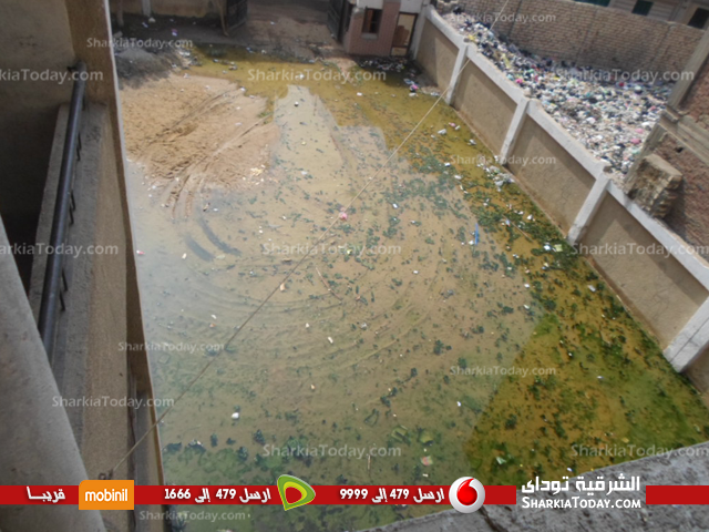 مدرسة بأبوحماد تغرق فى مياة الصرف الصحى .. ومدير الإدارة التعليمية : المشكلة في طريقها للحل 2 المستطيلة