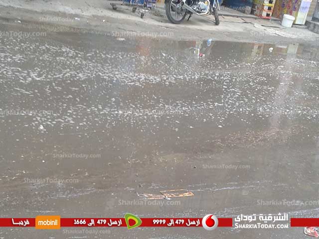 بالصور... إنفجار ماسورة صرف صحي بحى الزهور بالزقازيق 2 انفجار ماسورة صرف صحي بالزقازيق (1)