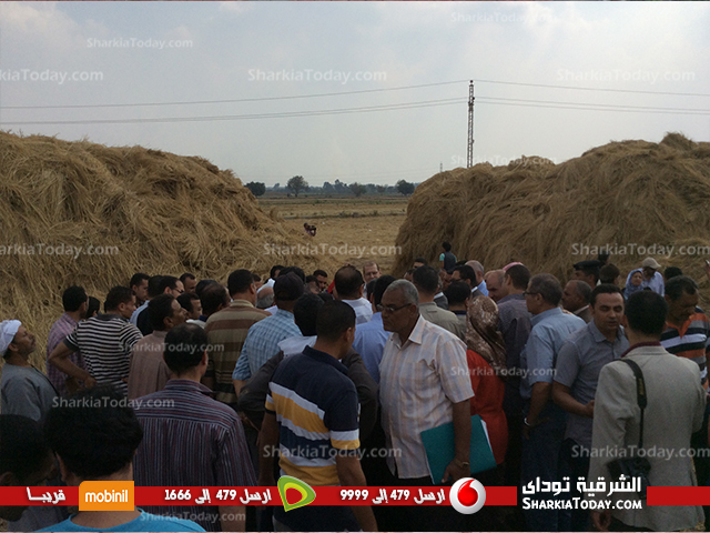 بالصور : وزير البيئة ومحافظ الشرقية يتفقدان مواقع جمع قش الارز بقرى الشرقية 4 جولة