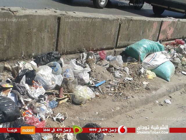 بالصور .. القمامة تغزو مدينة الزقازيق .. والمواطنون : نريد حلاً ، والمسئولين : الصناديق متوافرة 2 قمامة-1