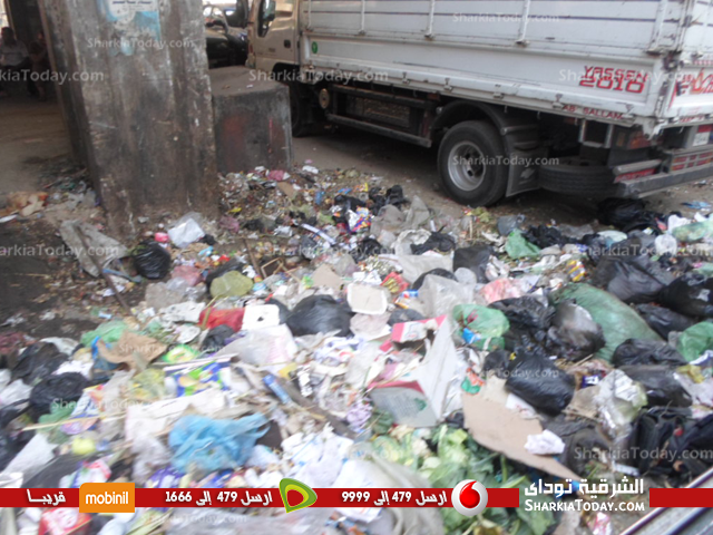 بالصور .. القمامة تغزو مدينة الزقازيق .. والمواطنون : نريد حلاً ، والمسئولين : الصناديق متوافرة 4 قمامة-4