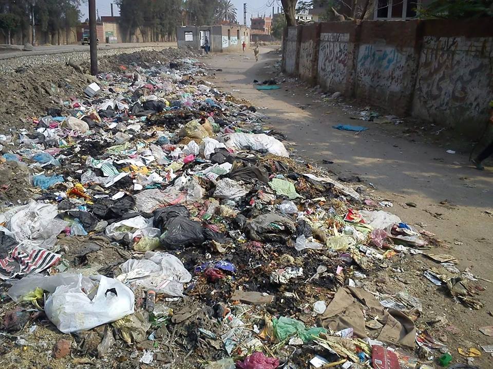 بالمستندات : مجلس مدينه منيا القمح عاجز عن حل مشكلة القمامة 1 10752088_720572651354843_1766209420_n