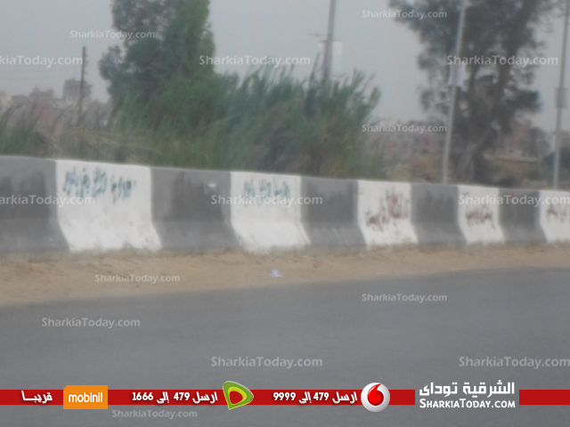 مجهولون يشوهون الفواصل الخرسانية بطريق «أبوحماد - الزقازيق» 2 1