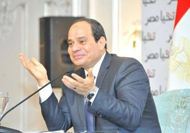 الرئيس لوفد البرلمان الاوروبي: سيناء كانت في سبيلها لأن تكون بؤرة إرهابية 1 2014_11_1_17_32_24_417