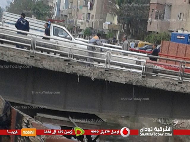 شاهد | تجميل كوبري السمك و كوبري المركز بمدينة أبوحماد 2 2