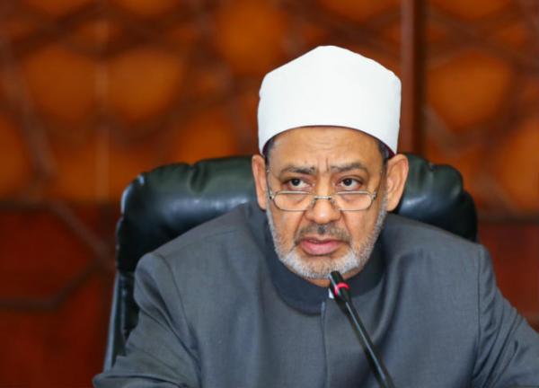 «الطيب» يلتقي «نبيل العربي» لبحث مواجهة الفكر التكفيري 1 277602_0_0