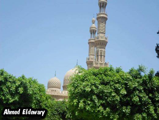 الأرصاد الجوية : طقس اليوم شتوى معتدل الحرارة وشبورة بالوجه البحرى 1 1000269_10152518252826752_1983029796615938055_n