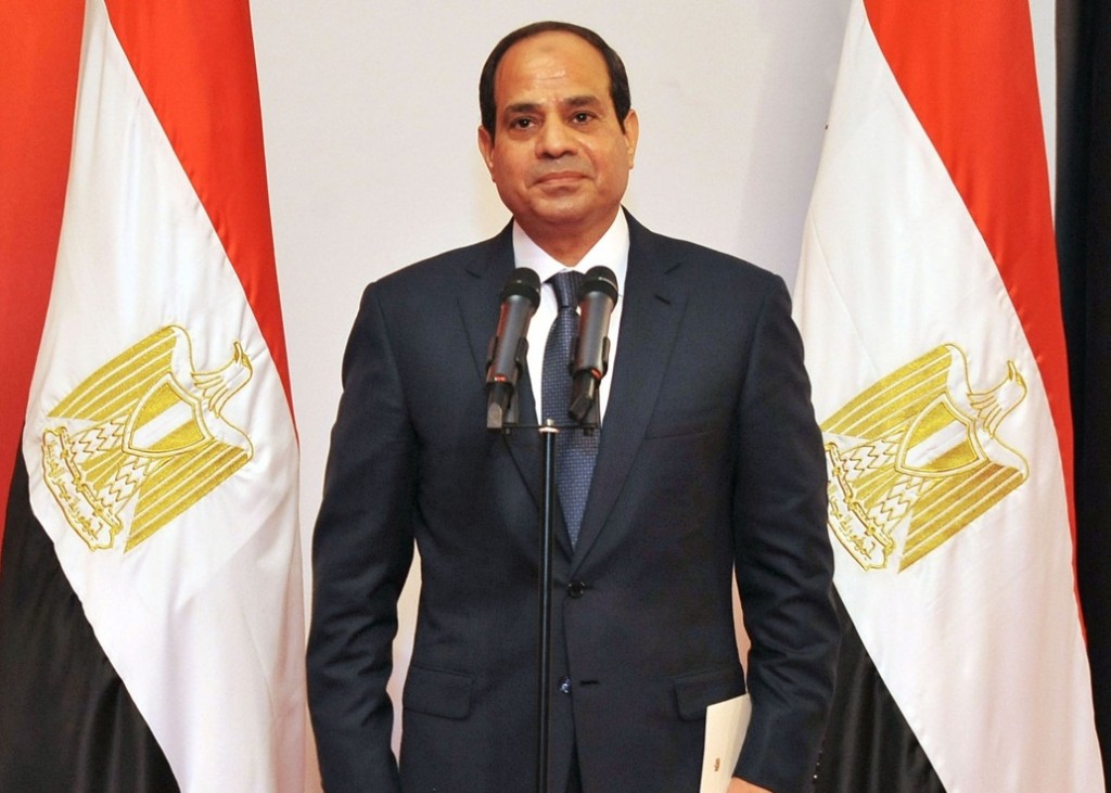 الرئيس السيسى : «العمل بمؤسسات الدولة يتم وفق الكفاءة بعيدا عن المجاملات» 1 16