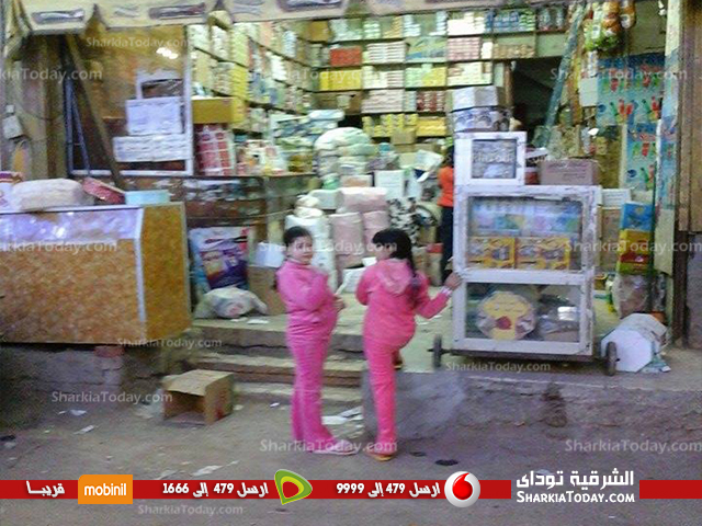 بالصور | مظاهر الإحتفال بالمولد النبوى الشريف بمدينة أبوكبير 3 1