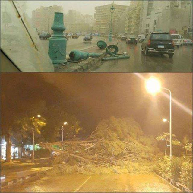 بالصور .. انهيار كافيه ولوحة إعلانات و سقوط مئذنه مسجد بالإسكندرية 7 10309205_894620210588907_2273119910745855854_n