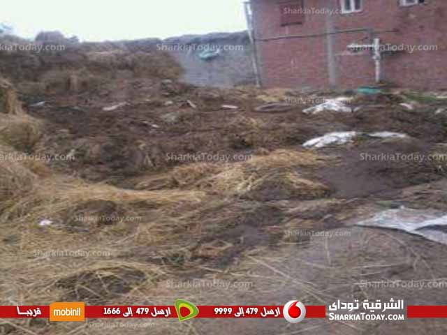 استغاثة أهالي كفر التميمي من الطريق المؤدى للكفر التابع لقرية شنبارة الميمونة بالزقازيق 4 2