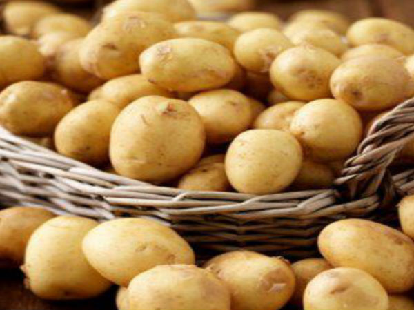 الزراعة : ارتفاع صادراتنا إلى أوروبا والخليج لـ137 ألف طن 1 mash-potatoes-fresh