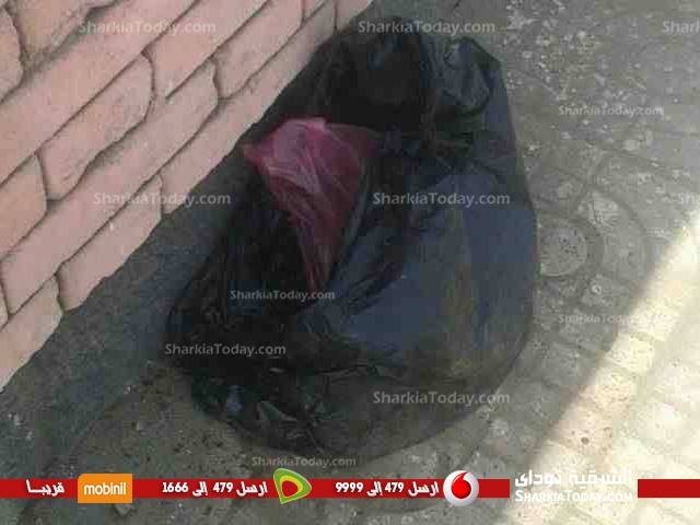 انفجار محدث صوت بمحيط شارع مكتبة مصر العامة بالزقازيق 4 3
