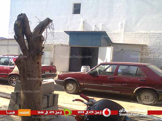 شاهد .. أعمال تطوير و تجميل سنترال ديرب نجم 5 33