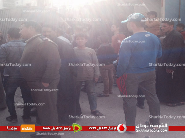 شاهد | حملة مكبرة لإزالة الاشغالات بمركز «كفر صقر» 4 Water Mark_reportersاتنم