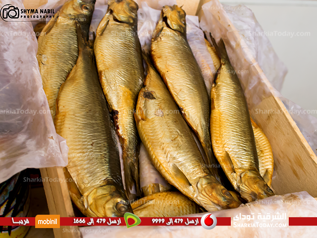 أسرع طرق التخلص من رائحة الفسيخ و الرنجة 2 رنجه