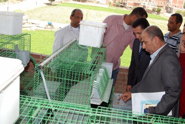 محافظ الشرقية : توزيع 20 بطارية أرانب على مزارعي كفر موسى عمران بالزقازيق 2 11182248_824413977646333_3510279473376195993_n