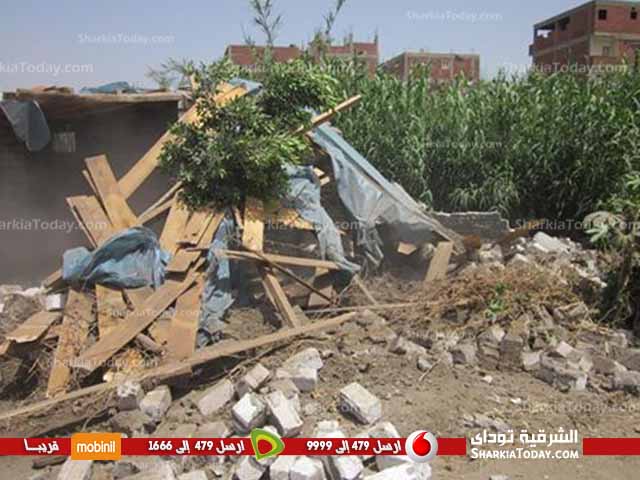 شاهد .. الزراعة بالشرقية تشن حملة لإزالة التعديات على الاراضى الزراعية 1 135