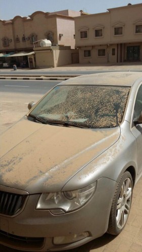 شاهد .. آثار العاصفة الرملية بدول الخليج العربي 3 image124-281x500