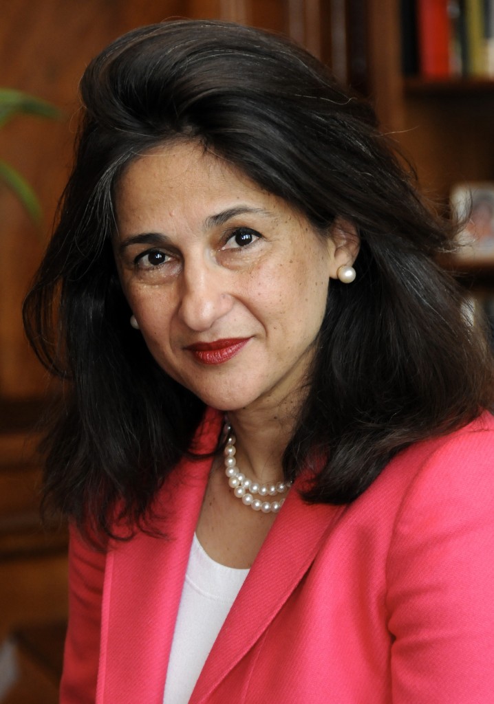 27 معلومة عن «المصرية الأكثر نفوذًا في العالم» 3 Nemat_Shafik_Portrait